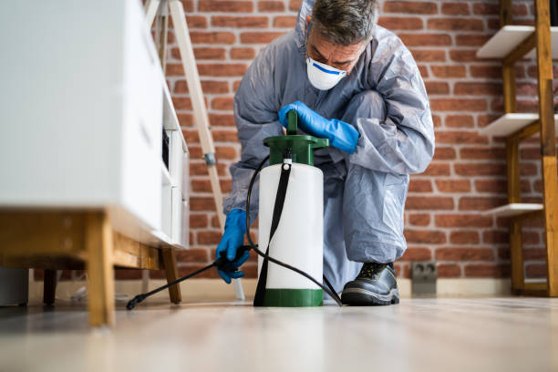 Best Pest Exclusion Services  in Crestline, CA